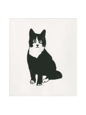Black And White Cat Seated