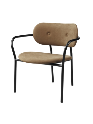 Coco Lounge Chair