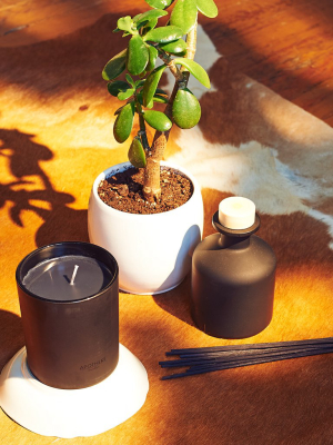 Apotheke Charcoal Candle