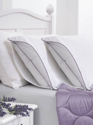 2pk Lavender Infused Cotton Pillow Protector - Allied Home