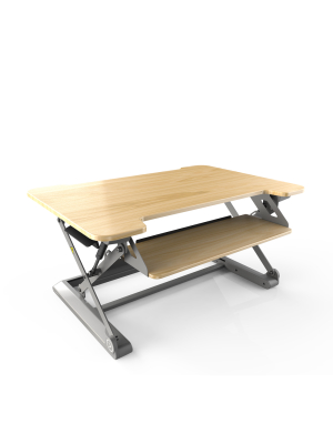 Inmovement Standing Desk Pro Dt20