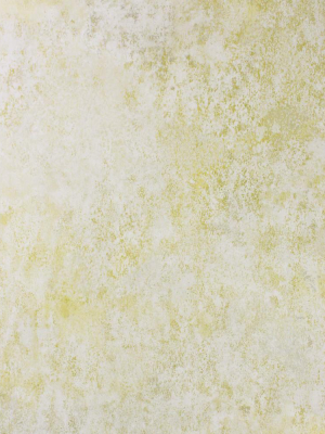 Fresco Wallpaper In Lemon From The Enchanted Gardens Collection By Osborne & Little