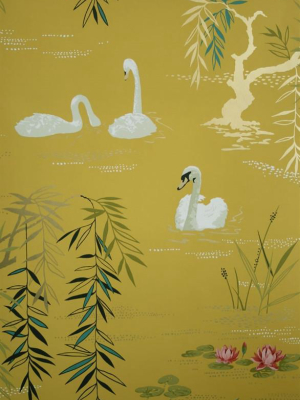 Swan Lake Wallpaper In Sunset By Nina Campbell For Osborne & Little