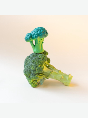 Oli & Carol Brucy The Broccoli