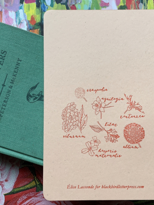 Botanical Letterpress Notebook - Centaurea