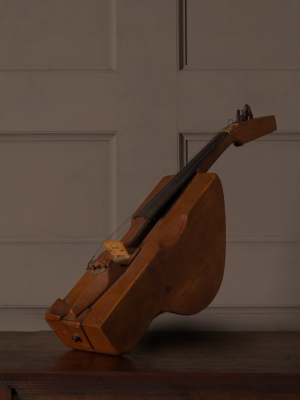 Unique Violin-like Instrument