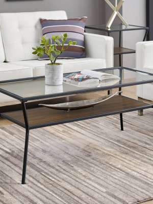 42" Modern Metal & Glass Coffee Table - Saracina Home