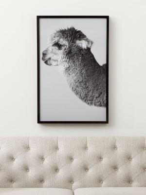 Lucy The Llama Print