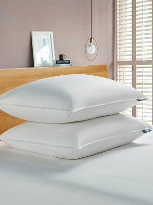 Feather & Down Fiber Back Sleeper Bed Pillow - Serta