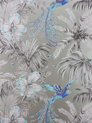 Bird Of Paradise Wallpaper In Blue And Gray From The Samana Collection By Matthew Williamson