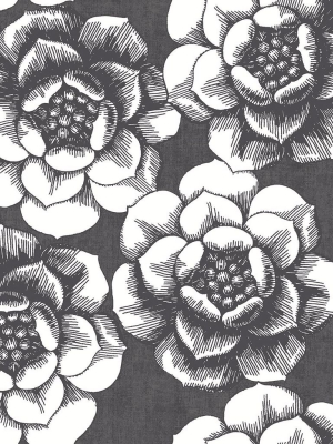 Fanciful Floral Wallpaper In Black From The Moonlight Collection By Brewster Home Fashions