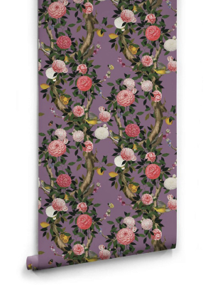 Garden Bloom Wallpaper In Lilac From The Kingdom Home Collection By Milton & King