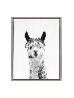 18" X 24" Sylvie Llama Framed Canvas By Simon Te Tai Gray - Kate And Laurel