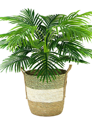 42" X 28" Artificial Palm Plant In Basket - Lcg Florals