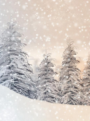 Snow Globe