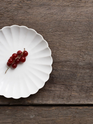 Chrysanthemum Plate - Medium