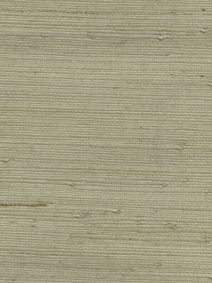 Khaki Sage Grasscloth Wallpaper