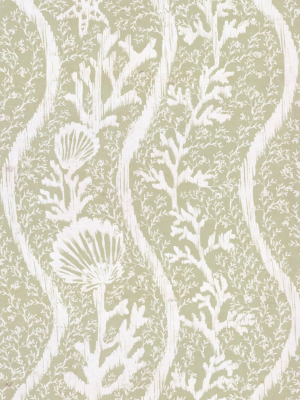 Koralion Wallpaper In Seacrest From The Sundance Villa Collection By Mind The Gap