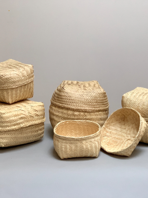 Basketry By Cinta Larga