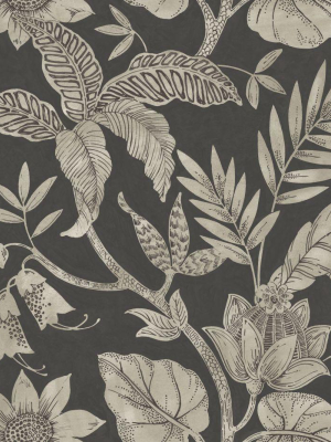 Rainforest Leaves Wallpaper In Brushed Ebony And Stone From The Boho Rhapsody Collection By Seabrook Wallcoverings