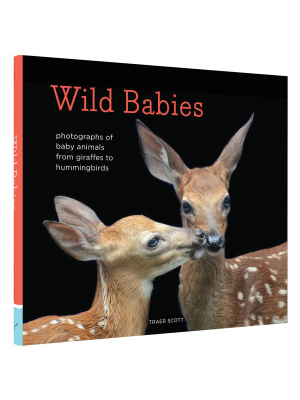 Wild Babies