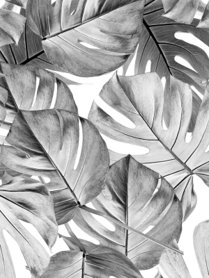 Botanical Wallpaper Monstera Grey By Kek Amsterdam