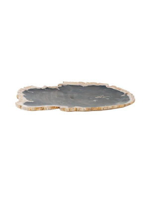 Petrified Wood Plate