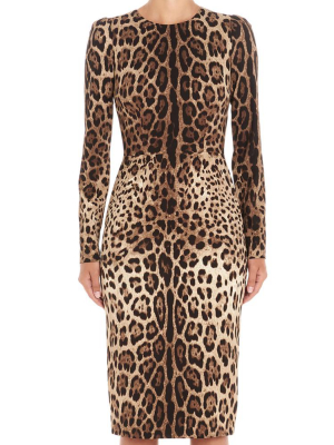 Dolce & Gabbana Leopard Print Bodycon Dress