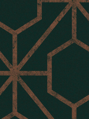 Rinku Wallpaper In Green And Copper From The Exclusives Collection By Graham & Brown