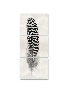 Feather #13 Trilogy Print