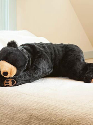 Super Soft Bear Hug Body Pillow With Realistic Features, Black Bear - Plow & Hearth