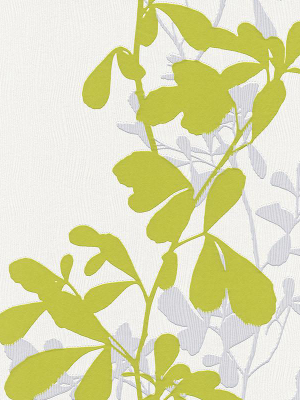 Foliage Wallpaper In Green And Grey Design By Bd Wall