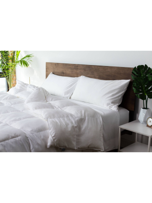 Year Round Comforter White - Molecule