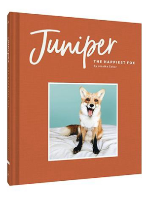 Juniper: The Happiest Fox