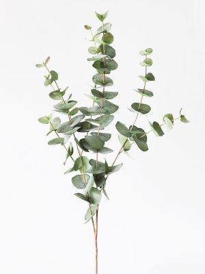 Green Grey Artificial Spiral Eucalyptus - 40"