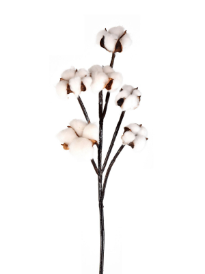 Vickerman 30" Artificial White Cotton Spray.