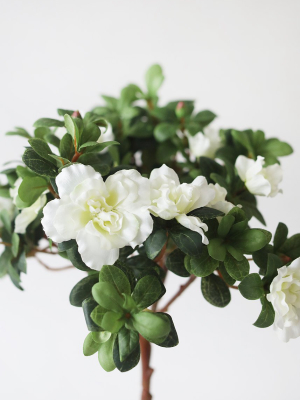Azalea Silk Flowers Bush In Cream White - 12"