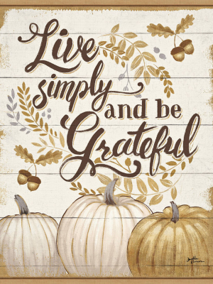 16" X 20" Grateful Season I Pumpkin By Janelle Penner Framed Canvas Wall Art - Amanti Art