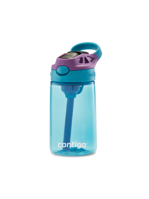 Contigo 14oz Plastic Kids' Water Bottle With Autospout Straw Purple/blue