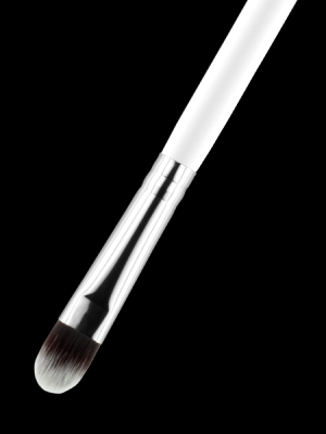 Brush #11 - Concealer Or Eyeshadow