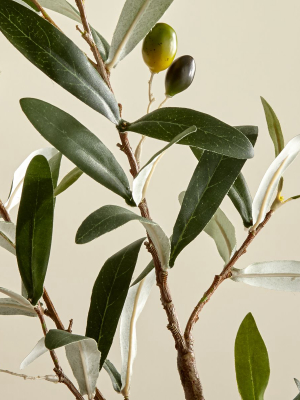 Faux Olive Stem