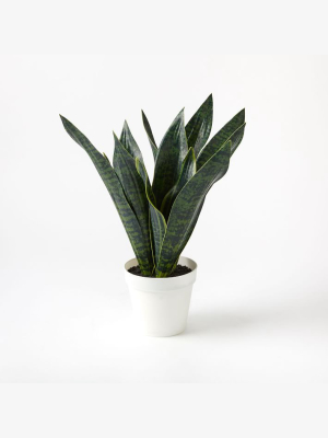 Faux Potted Snake Plant