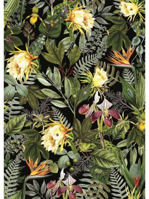 Tropical Flowers Peel & Stick Wallpaper By Roommates For York Wallcoverings