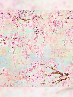 Cherry Blossom