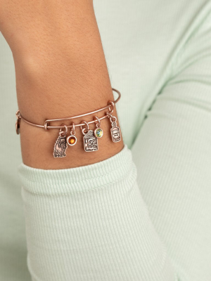 Harry Potter™ Hermione Multi-charm Bangle