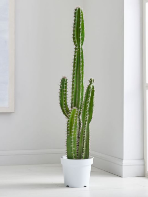 Faux Potted Cactus Plant