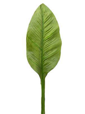 Banana Leaf 34" Stem