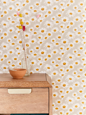 Daisies Removable Wallpaper