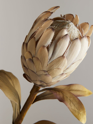 Faux Protea Spray