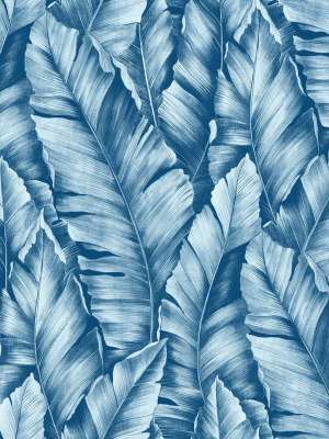 Baha Banana Leaves Peel-and-stick Wallpaper In Regatta Blue By Nextwall